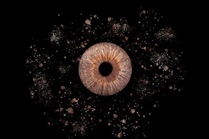 Image de Alan Boudry Photographe Videaste