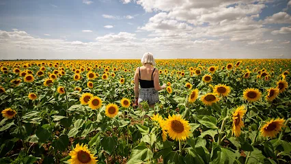 Image de Alex GATTE PHOTOGRAPHIE
