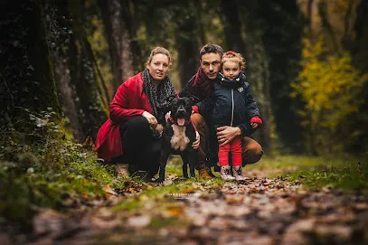 Image de Aude K photographie - animaux de compagnie