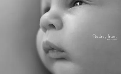 Image de Audrey Irani Photographe