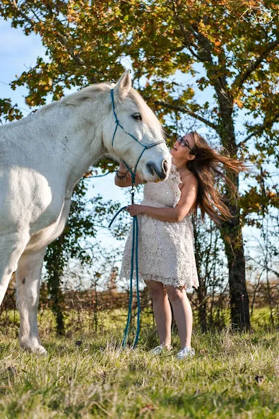 Image de Betina Photographies