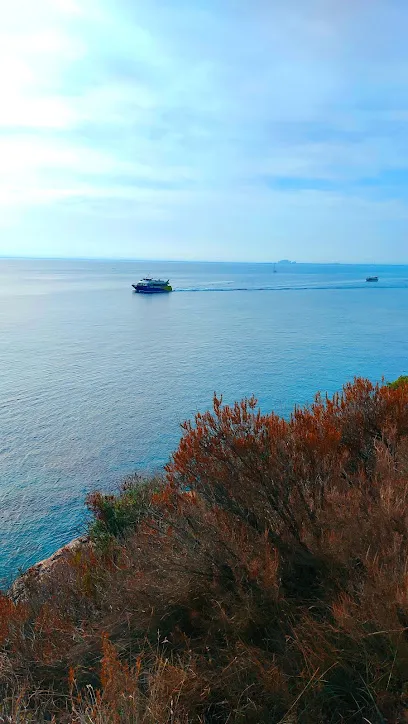 Image de BJ-Drone prod | Vidéaste | Télépilote drone | Béziers 34