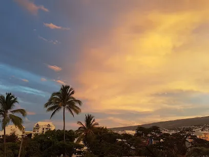 Image de David Dijoux Photographe Réunion EURL