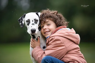 Image de Elody Day'Art Photographe d'Animaux de Compagnie & d'Iris