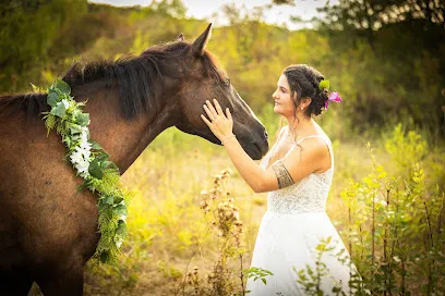Image de Emilie De Freitas Photographie