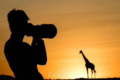 Image de Emilie Tournier Photographe par Nature (photographe animalière)