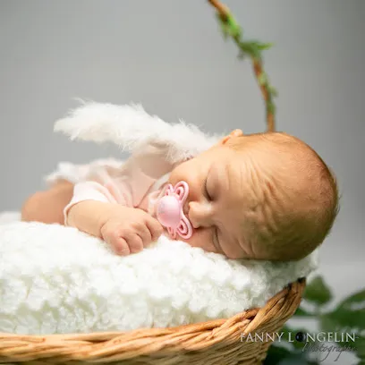 Image de Fanny Longelin Photographe (Sur Rendez-vous)