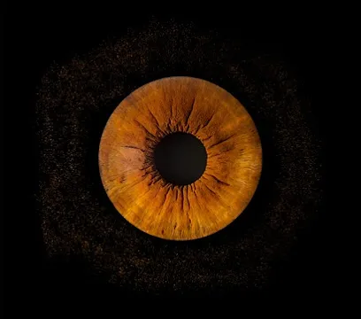 Image de Gérard LEBLANC - Photographe - entreprise individuelle