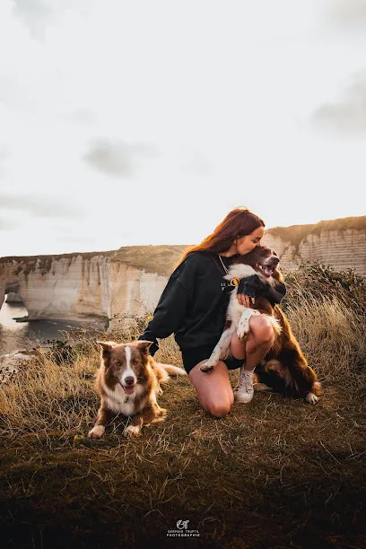 Image de Germain TRUPTIL - Photographe & Vidéaste Spécialiste des Animaux & événements Sportifs en Ille-et-Vilaine