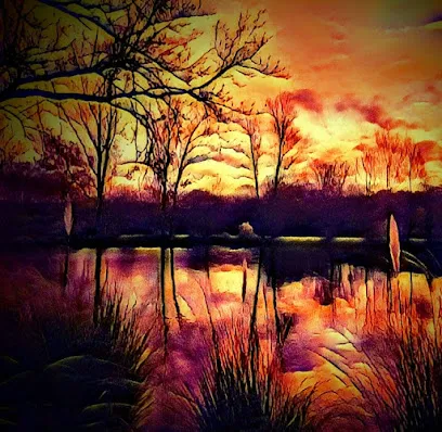 Image de Hervé Guillemarre Photographies