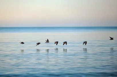 Image de Isabelle Robak PHOTOGRAPHE