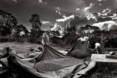 Image de Jeff Guiot -social photographe / vidéaste