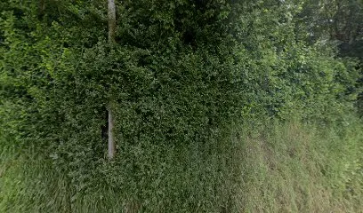 Image de Jérôme Narbonne Photographies Vidéos Drones