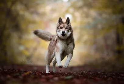 Image de Julia Walle Photographie