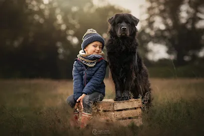 Image de Julie CRENN Photographie
