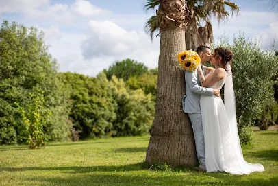 Image de Julie Kirtz Photographe