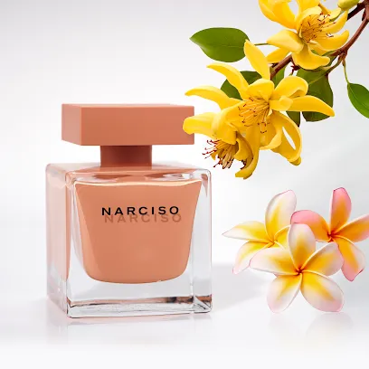 Image de Lacy Studio France