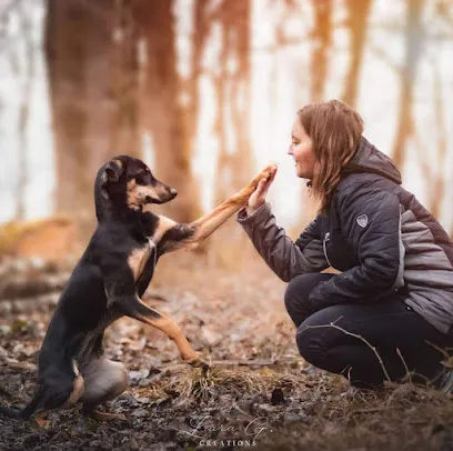 Image de Lara G. Créations - Photographe canin en Bretagne