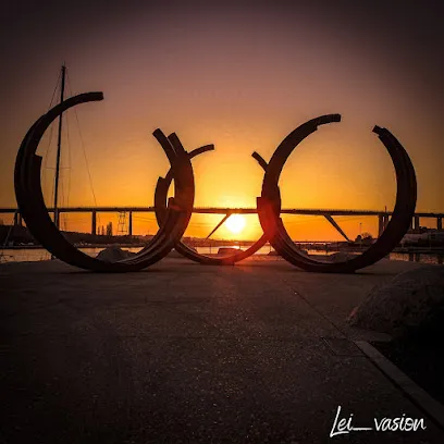 Image de lei vasion