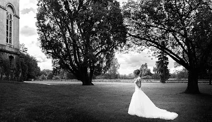 Image de Luis Vidéaste Photographe Mariage