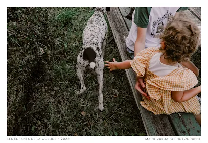 Image de Marie Julliard Photographe