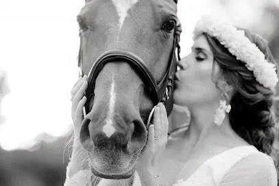 Image de Marine Tur - Photographe Equestre