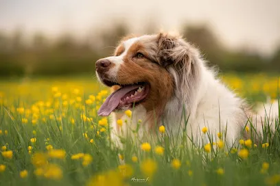 Image de Marion f. Photographie