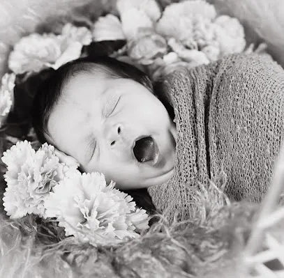 Image de MELPASSIONPHOTO
