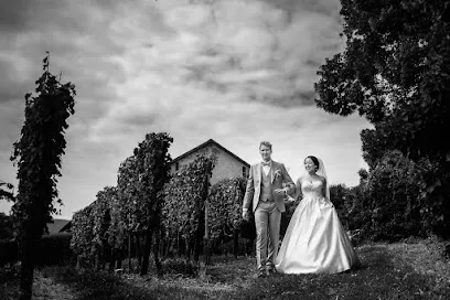 Image de ⭐ Once Upon A Day - Clément & Laetitia, Photo - Video ⭐