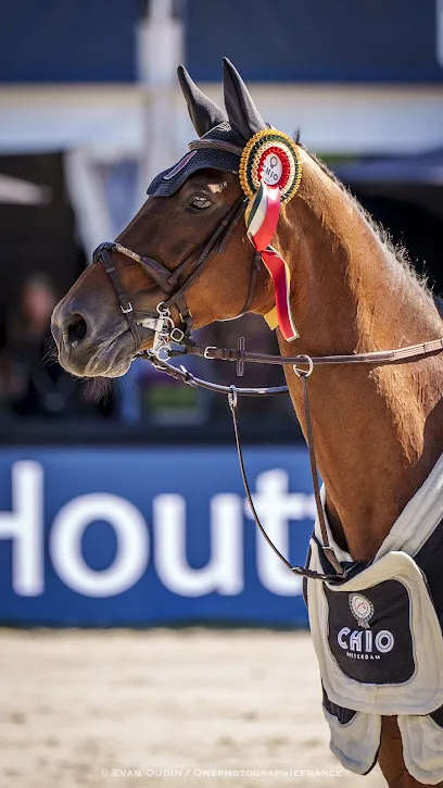 Image de One_photographiefrance - Evan OUDIN