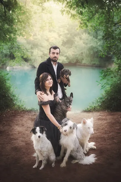 Image de Orion Photography - Photographe pour chien et Formatrice Photo et Photoshop