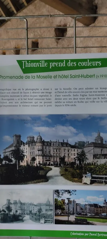 Image de Pascal Bertrand - Thionville en photos et vidéos