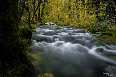 Image de Perspective Photos