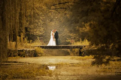Image de Philippe Giralt Photographie de Mariage