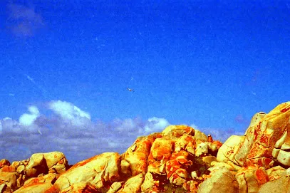 Image de Photo Evasion