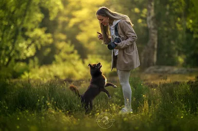 Image de Photographe animalière Yvelines et Paris (Paw Prints Photography)