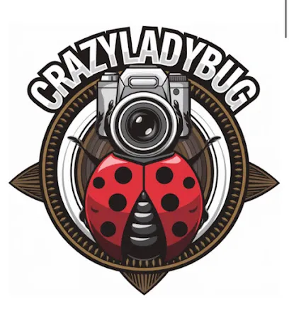 Image de PHOTOGRAPHE CANNES LADYBUGPHOTOGRAPHIE