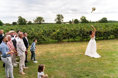 Image de Photographe Mariage Damien LATASTE - Studio LATASTE