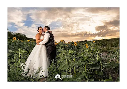 Image de Photographe professionnel - Maxime Fraisse - Photo reporter -Photographe mariage