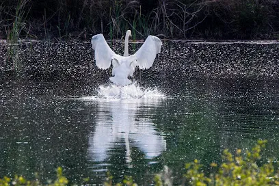 Image de Photographe - RENAUD Luc