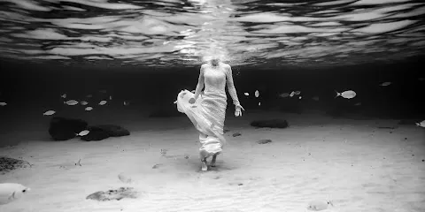Image de Pierre Gobled Photographe