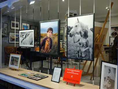 Image de PIERRE-YVES NICOLAS PHOTOGRAPHE