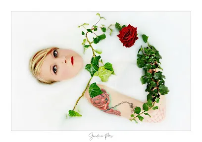 Image de Sandrine Paris Photographe