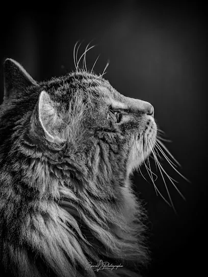 Image de Sparck Photographie