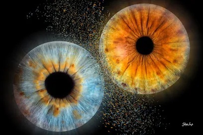 Image de Studio Iris