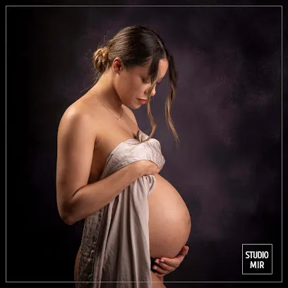 Image de Studio Mir