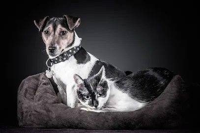 Image de Studio Photo Olivier Desaleux photographe en Essonne (91)