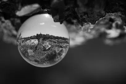 Image de StudioVincentRomain