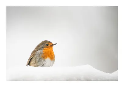 Image de Sylvain Rouvier Photographie