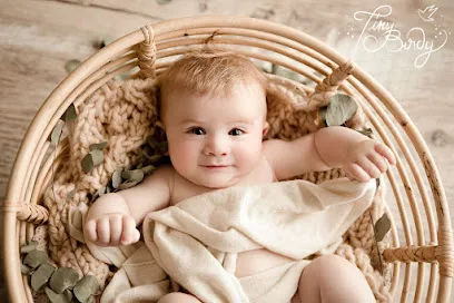 Image de Tiny Birdy photographe Sarthe